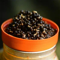 Dynamite Baits Frenzied Hempseed 2.5L Jar